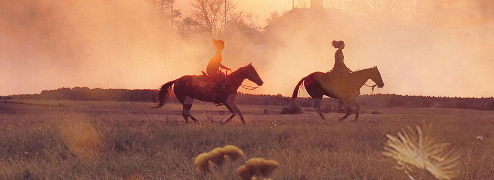 Do you offer tourism related or other activities?  Promote your Toronto area business through our Local Business Portal online business directory website.